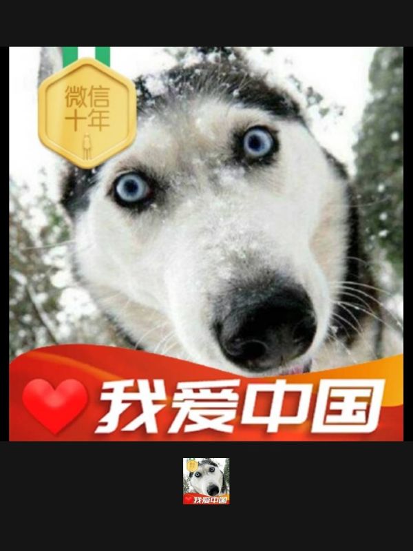 盘点一款“微信跑得快可以开挂吗”详细分享开挂-第1张图片