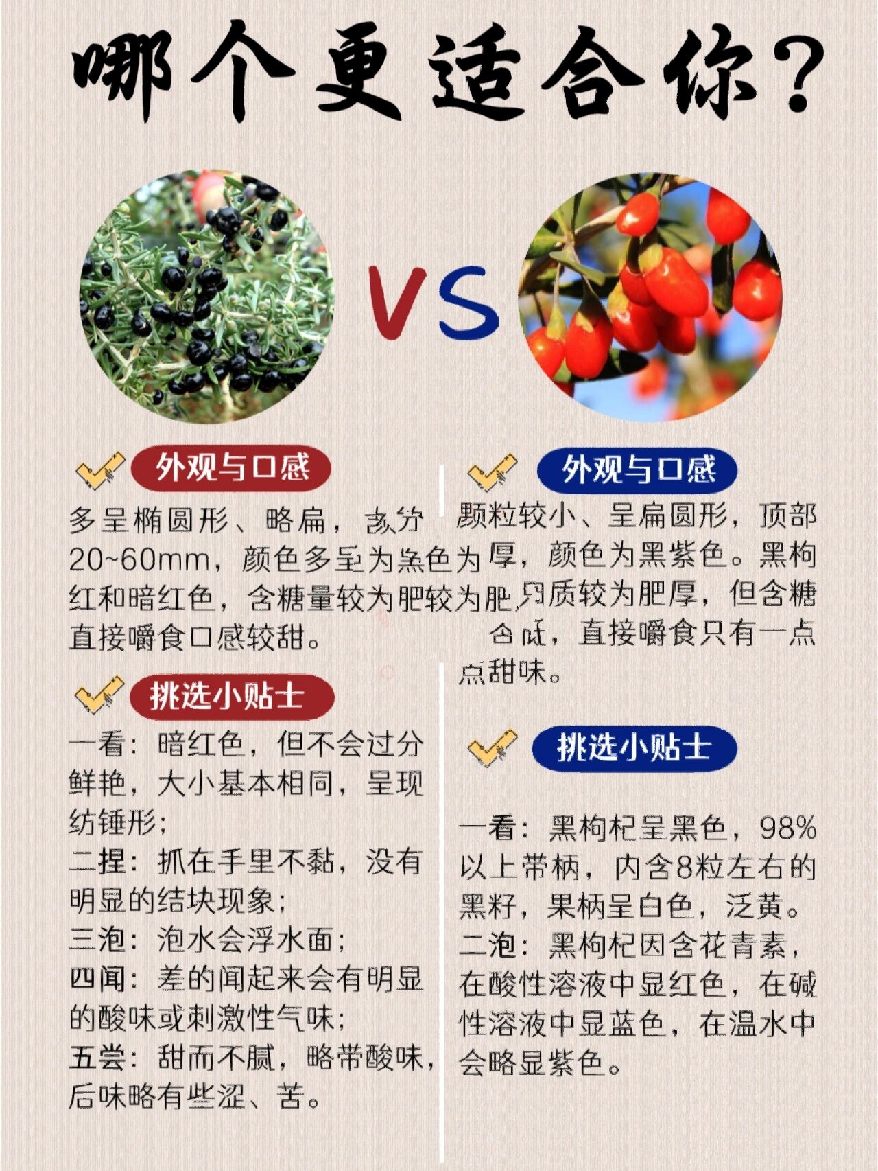 科普实测“科乐填大坑辅助透视”开挂通用版（必备神器）-第2张图片