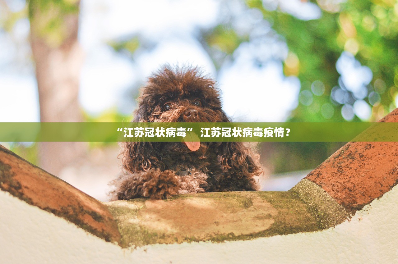 青岛疫情最新消息今天新增病例-青岛疫情 最新-第1张图片