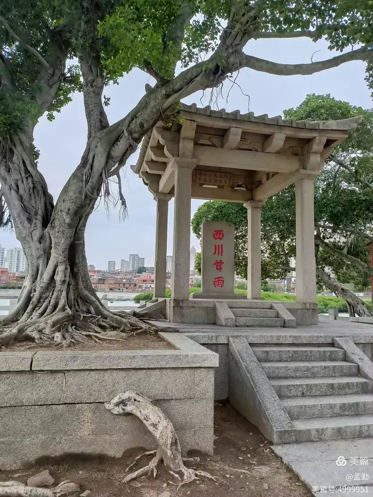 推荐一款“开心泉州麻将挂怎么安装”开挂器软件安装-第2张图片