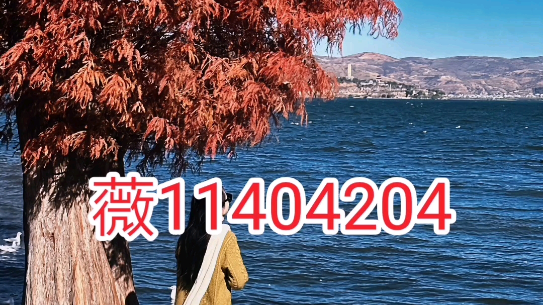必看科普“小程序雀神广东麻将开挂神器下载软件”万能开挂器通用版-第1张图片