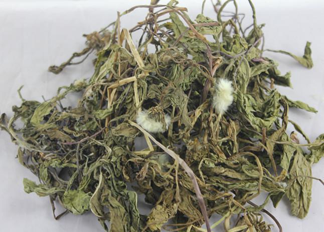 科普实测“蒲花大菠萝可以开挂吗”万能开挂神器（真的有挂）-第1张图片