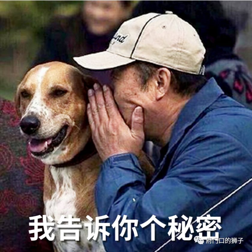 我来告诉你“hhpoker数据工具下载”万能开挂器通用版-第1张图片