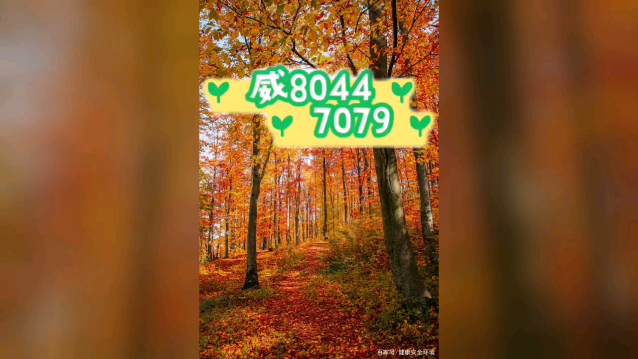 我来教教大家“小程序雀神广东麻将开挂app下载”开挂器软件安装-第1张图片