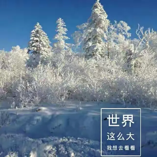 玩家必读“本溪麻将开挂方法下载	”外卦神器下载安装-第1张图片