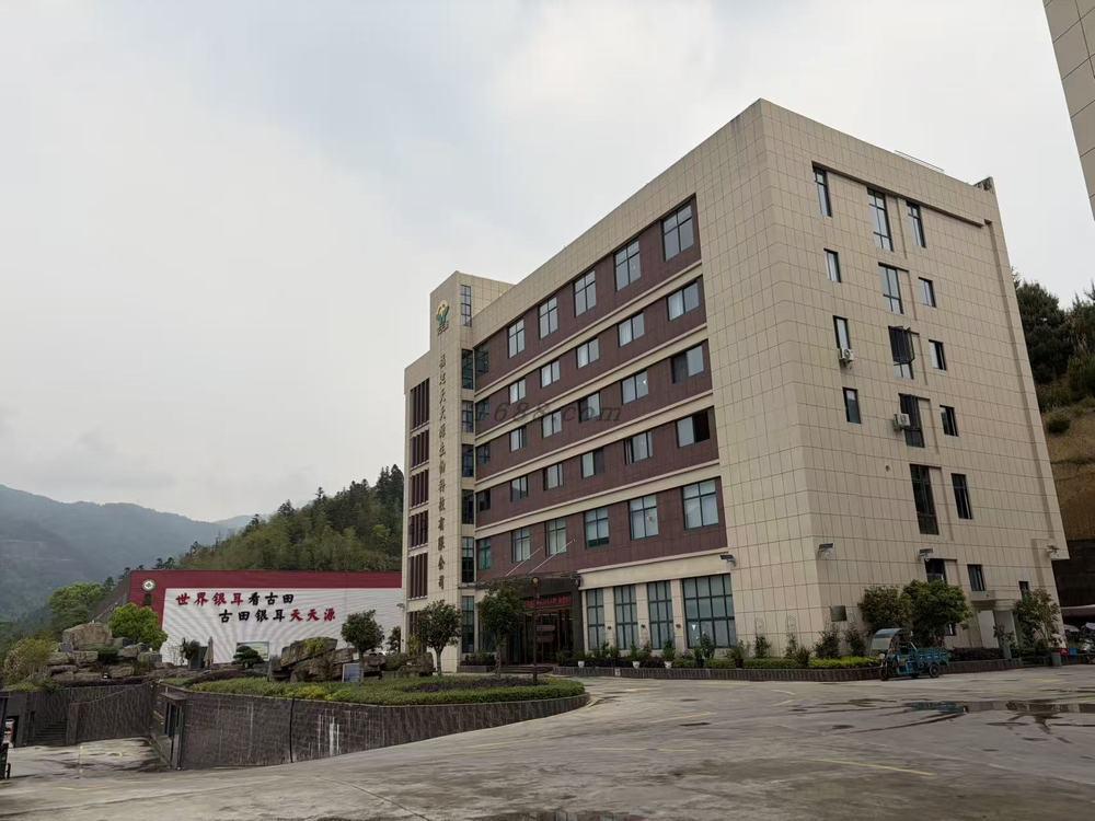 玩家攻略“天天福建十三张怎么才会赢”外卦神器下载安装-第3张图片