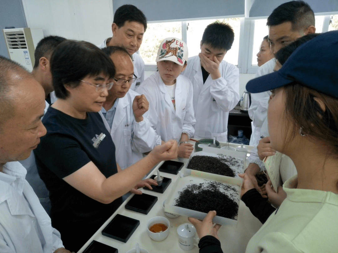 科普实测“天天福建十三张是不是有挂”开挂通用版（必备神器）-第2张图片