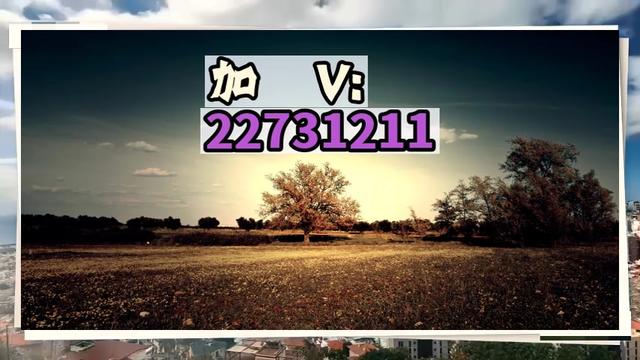 实测教程“微乐内蒙麻将万能开挂神器	”开挂通用版（必备神器）-第1张图片