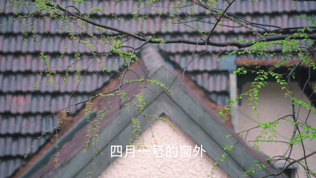 上海解封最新消息〃上海解封时间表-第1张图片